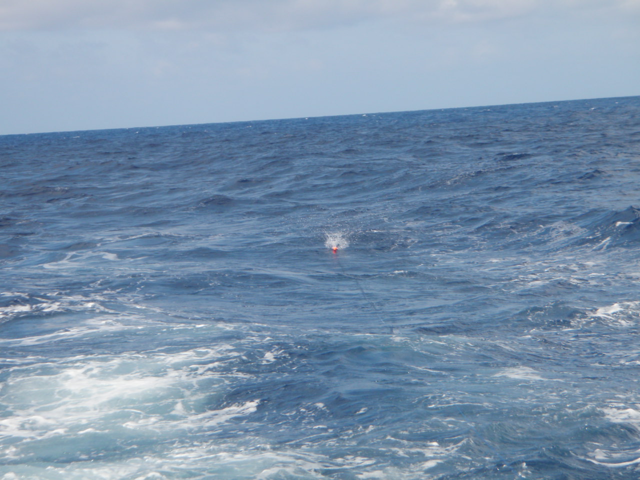 2012ishigaki