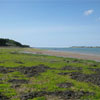 2008menai