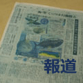報道