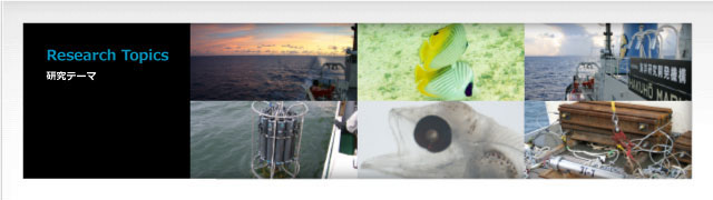 Research Theme