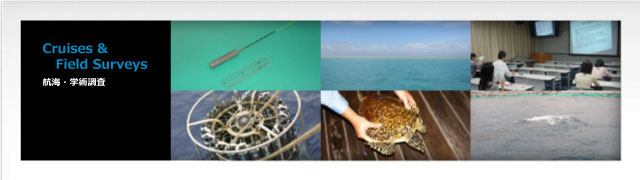 Cruises and Field Surveys
