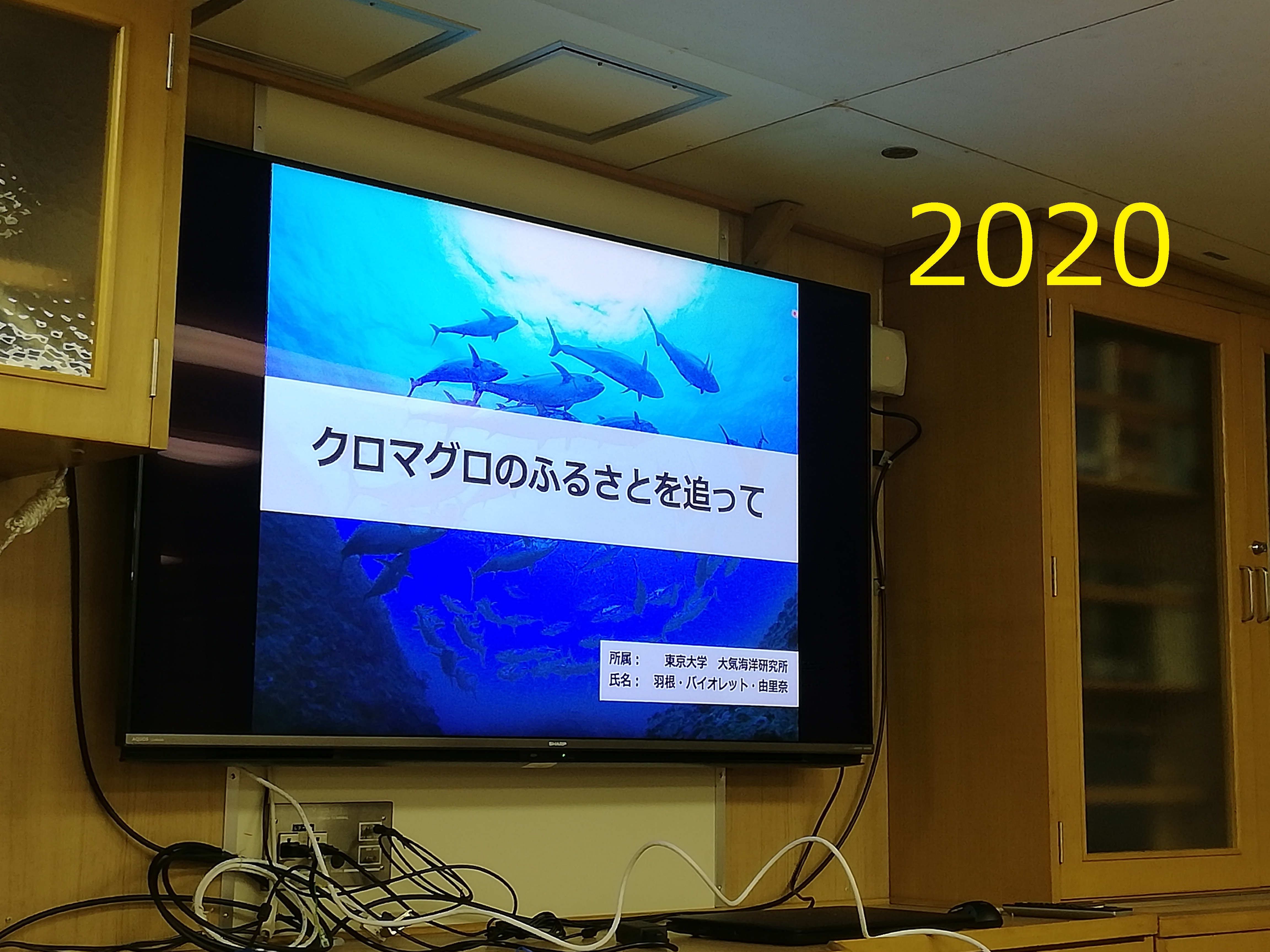 2020